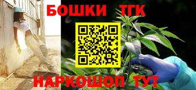 гидропоника Дубна