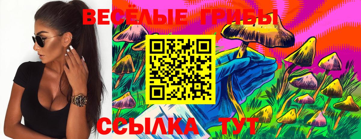 Галлюциногенные грибы ЛСД  Псилоцибиновые грибы MAGIC MUSHROOMS  Вход с VPN  Михайловка 