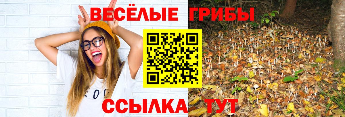 Галлюциногенные грибы MAGIC MUSHROOMS Михайловка